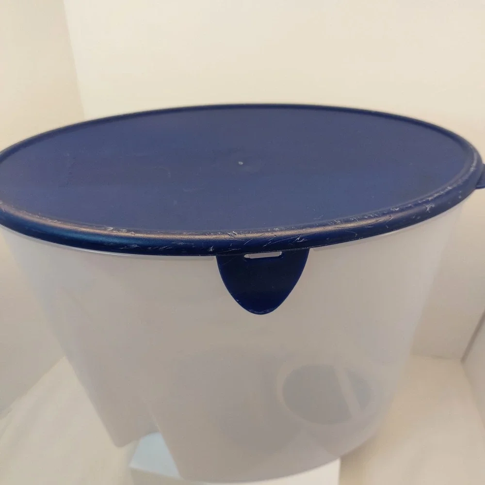 Tupperware #4002A Cereal Rice Storage Keeper Container 21‎ Cup Blue Lid